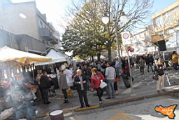 Santa Ninfa 19 11 2016 272.jpg